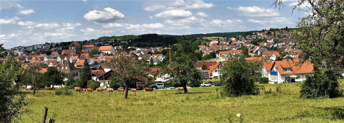 Panorama Heimsheim